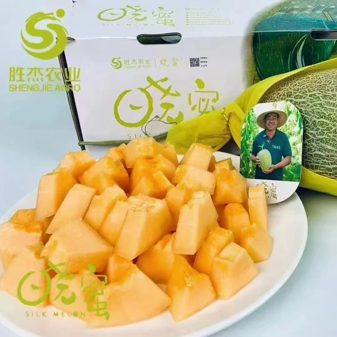 【蓝鲸小掌柜】胜杰晓蜜海南沙地哈蜜瓜一份2个7斤左右