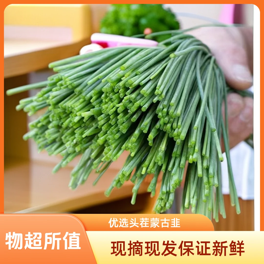 现割现摘新鲜头茬沙葱内蒙古蒙鸿义基地直发包邮到家烤涮凉拌做馅