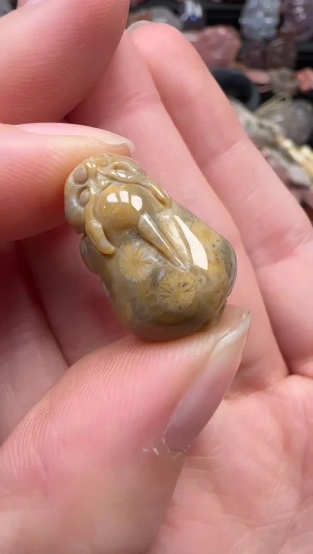 颈饰未镶嵌硅化珊瑚（珊瑚玉）503