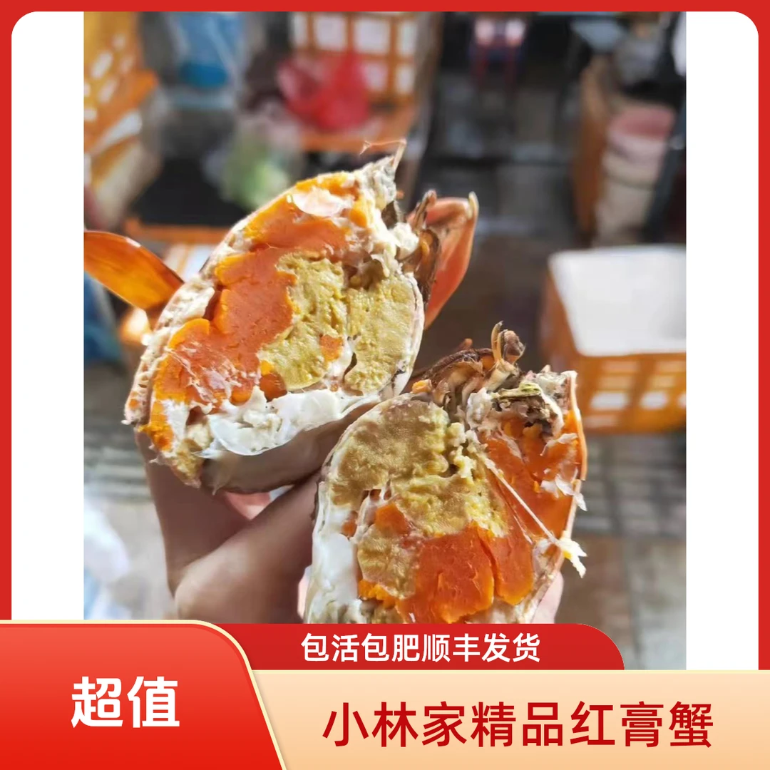 熊二家*野生膏蟹包活包肥顺丰发货