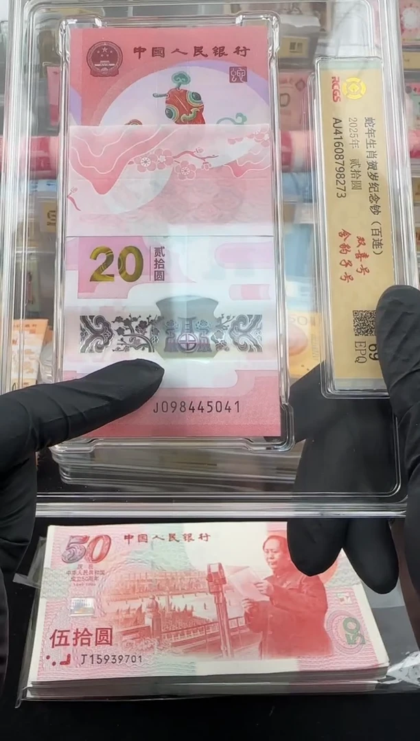 塑料蛇钞整刀百连号啊啊啊