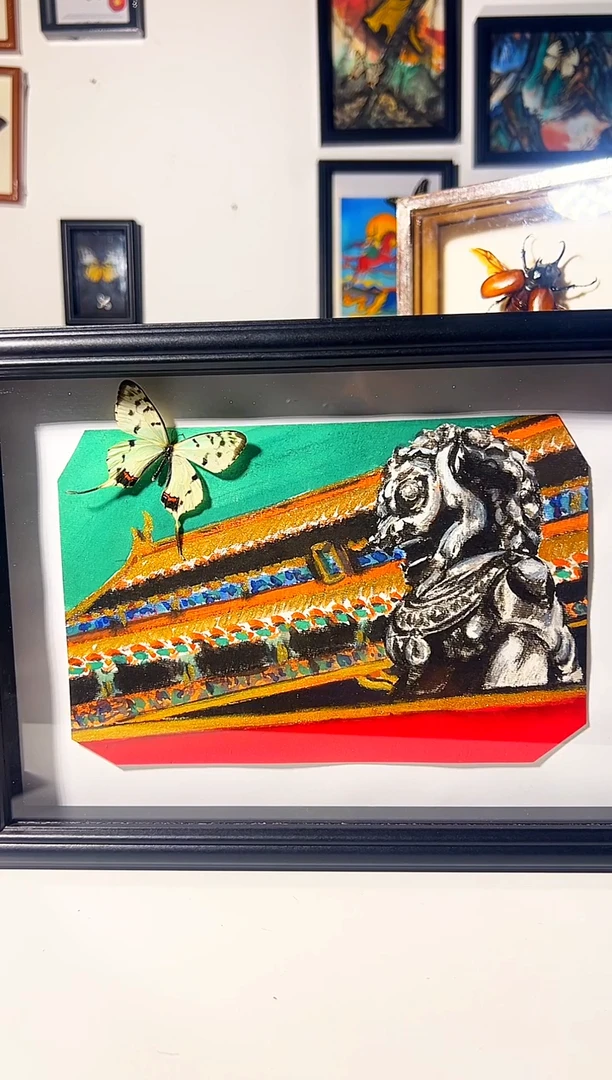 有机玻璃68798988946