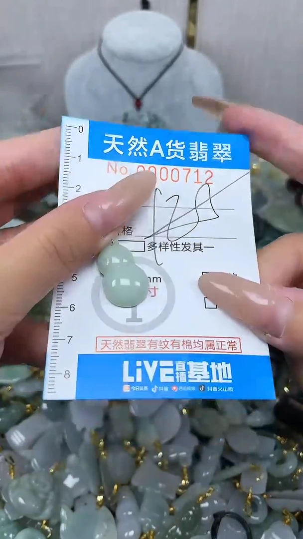翡翠未镶嵌颈饰净货挂件-0712