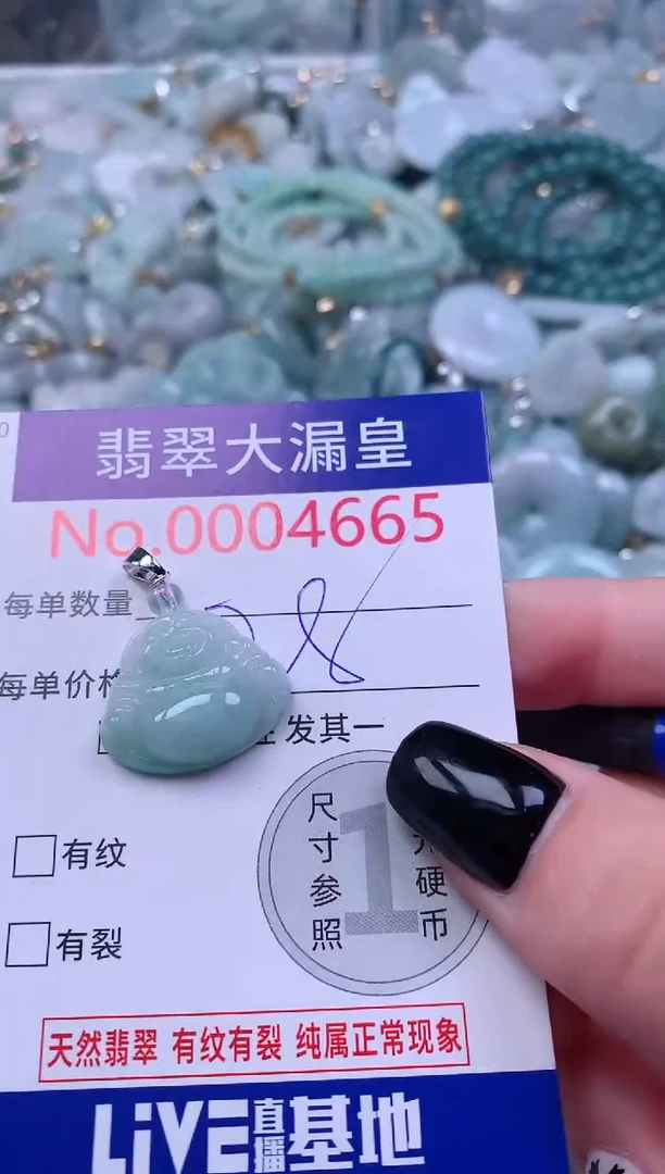 颈饰未镶嵌翡翠4665