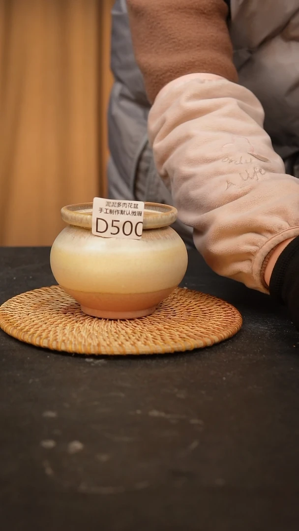 【闪购商品】瓷片量拍景德镇泥泥多肉陶瓷花盆