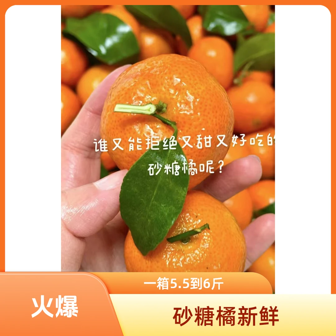 砂糖橘一箱   5斤   会有个别扎坏的介意不拍沙糖桔新加坡