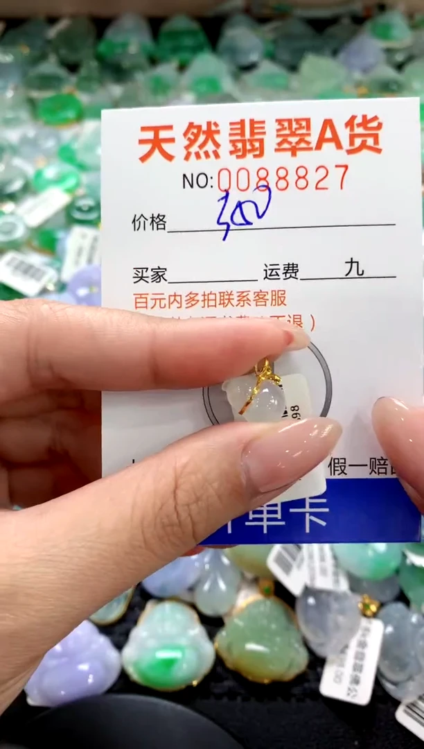 翡翠18K金镶嵌颈饰1111111111111111