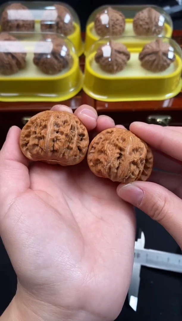 把件文玩核桃白狮子39尺R144