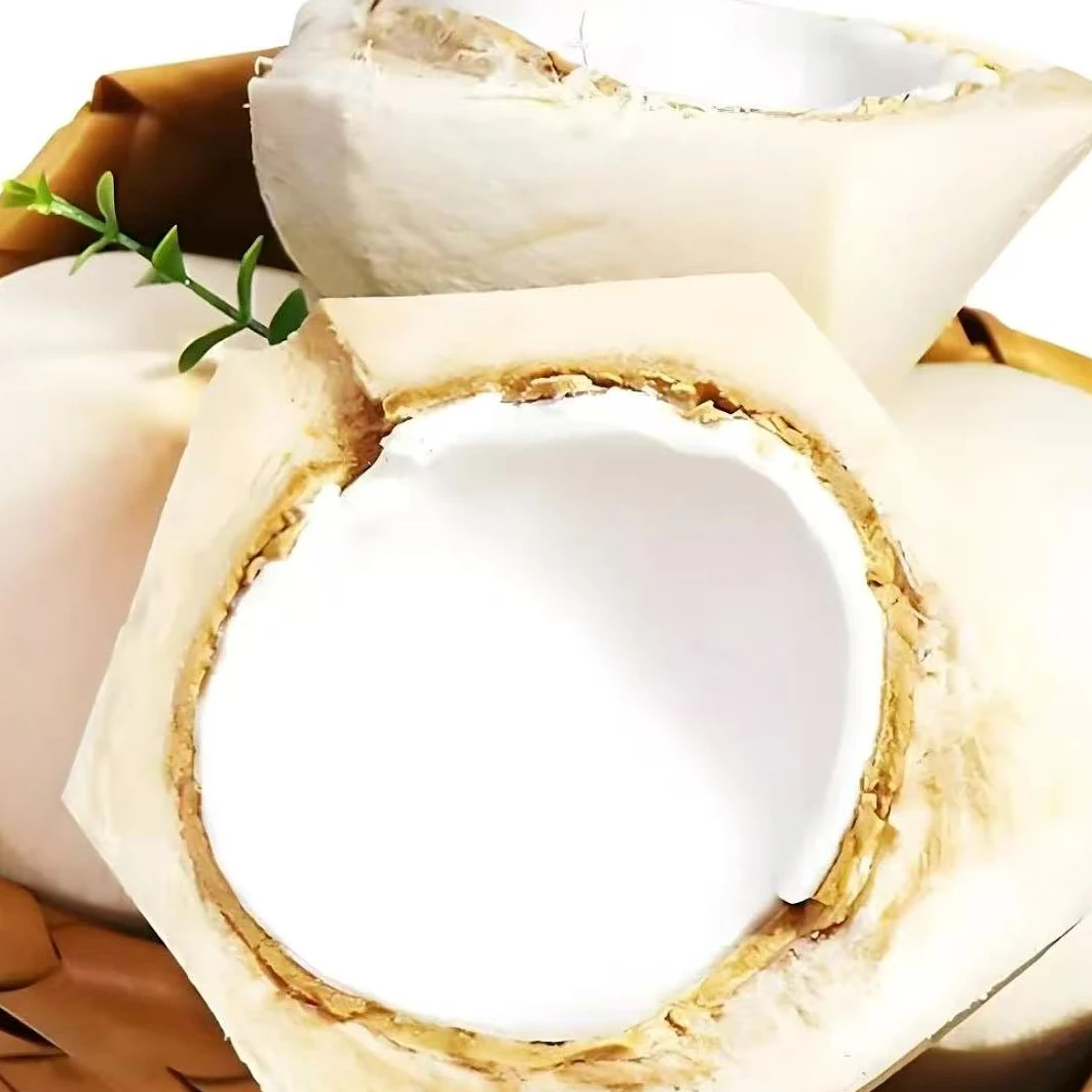 【顺丰】盟星进口椰青香甜多汁 整箱批发 原箱9颗（仅发南京）