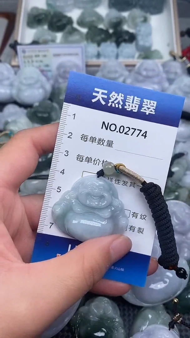 颈饰未镶嵌翡翠纯天然A货翡翠2774