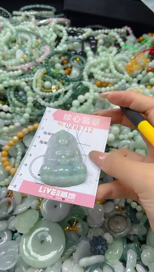 翡翠未镶嵌颈饰闪购0288712