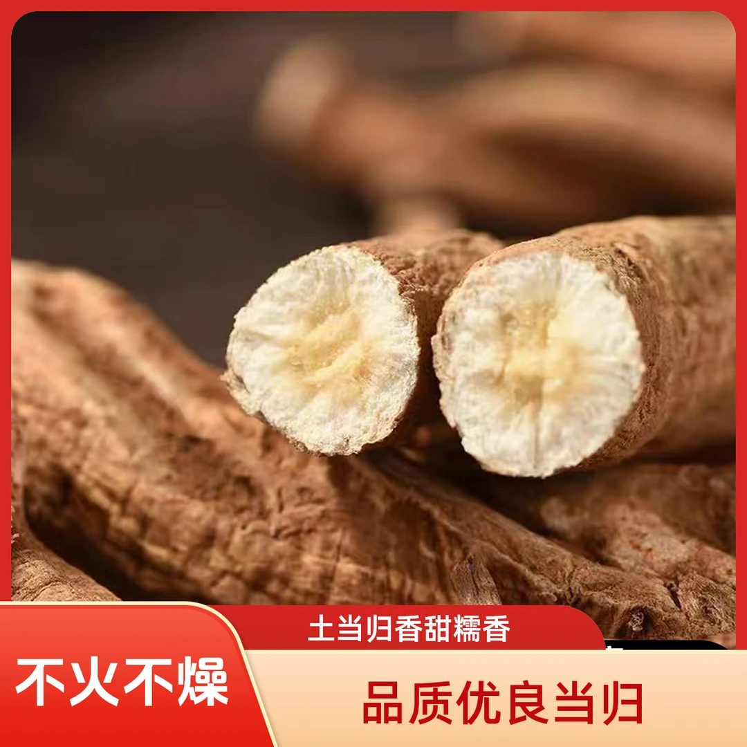 土当归现收阿坝藏当归炖汤煮水泡酒土当归不火不燥甜当归香甜糯香