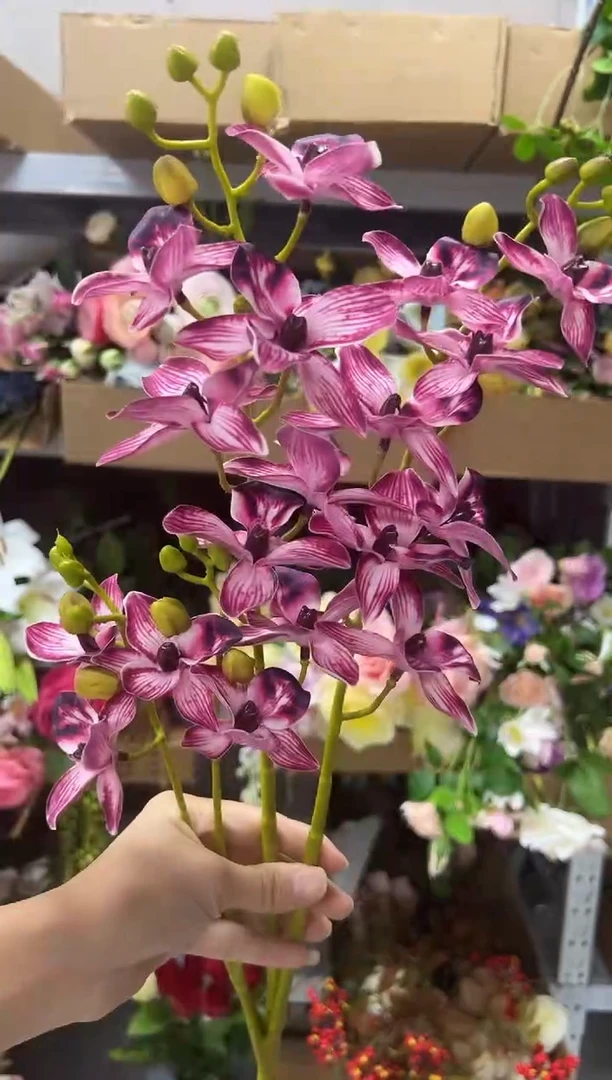 2枝酒红手感千鸟兰