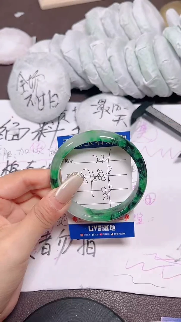 未镶嵌手镯翡翠221