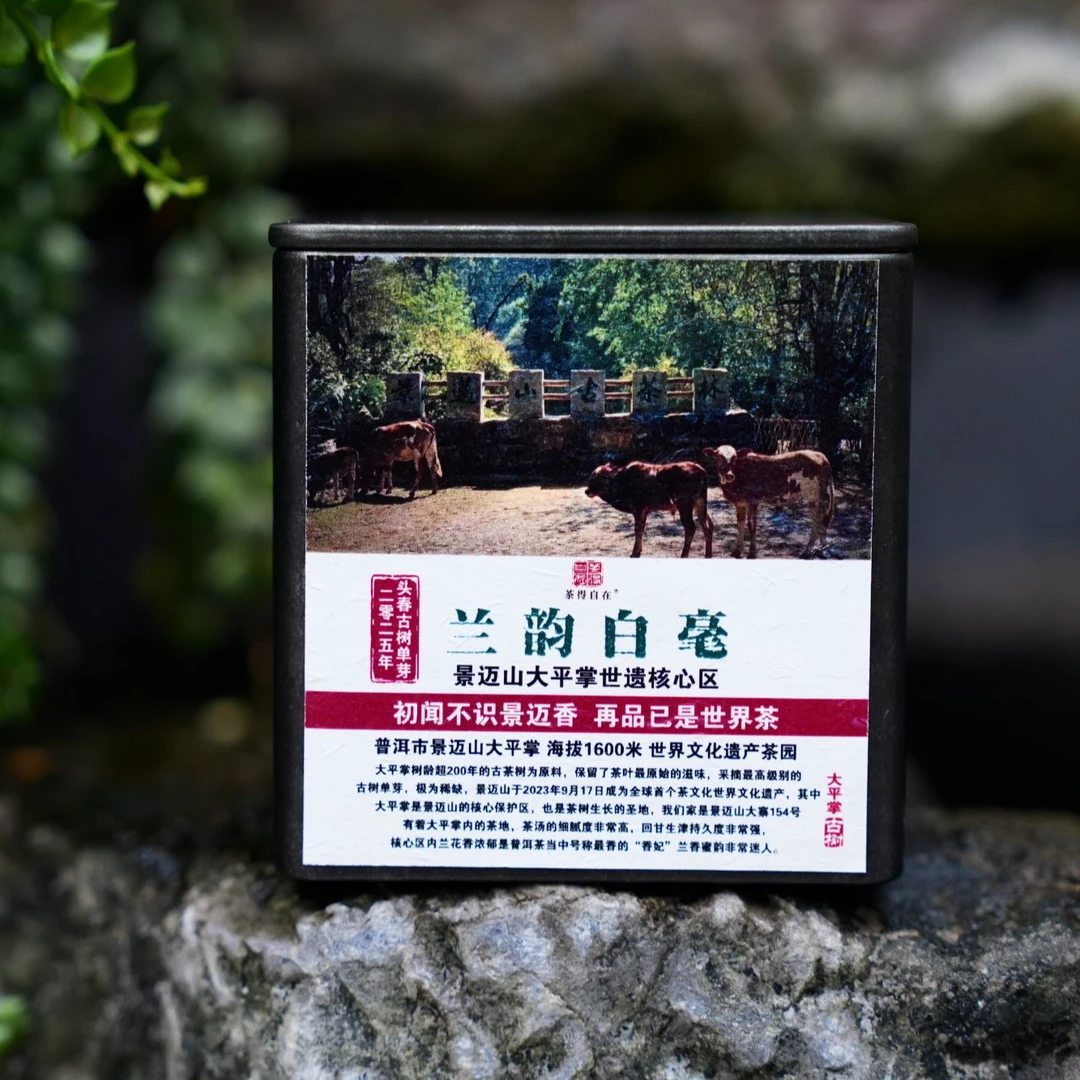 【 阿牛宠你 】白毫银针 2025年 景迈山大平掌 头春古树 单芽