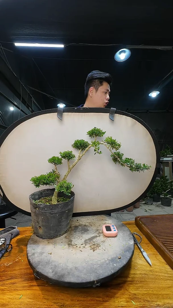 无花朵舜*00000000000000000000