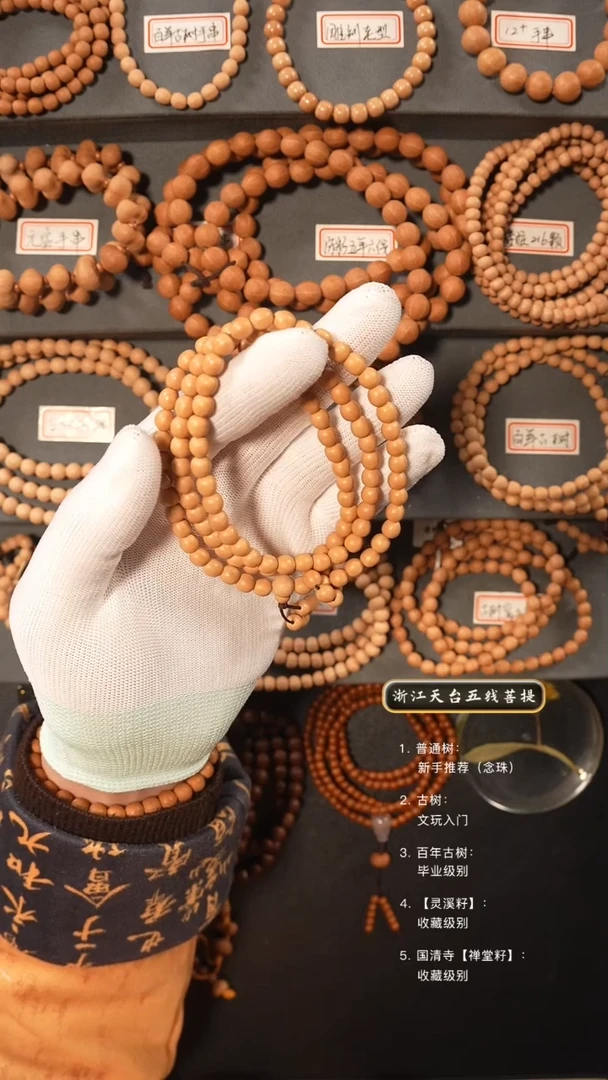 【闪购商品】五线菩提吊坠百年古树籽去皮脖挂6.1+