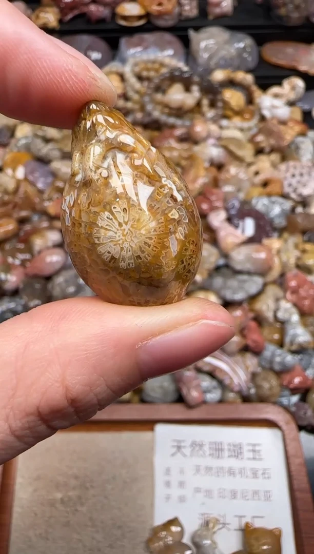 硅化珊瑚（珊瑚玉）未镶嵌颈饰749
