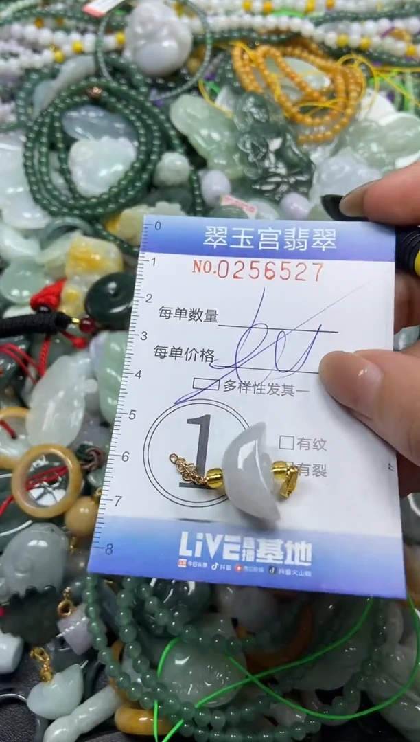 颈饰未镶嵌翡翠闪购C0256527多样性发其一