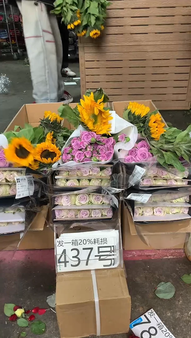 437号♥含20%耗损发一箱