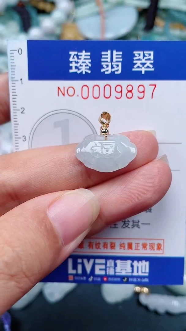 颈饰未镶嵌翡翠.0009897