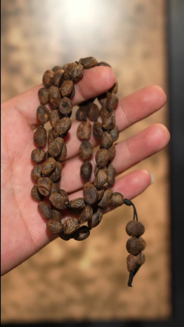 沉香手串海南绿奇楠沉水树丁虫漏长串23克