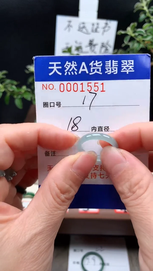 未镶嵌戒指翡翠17#