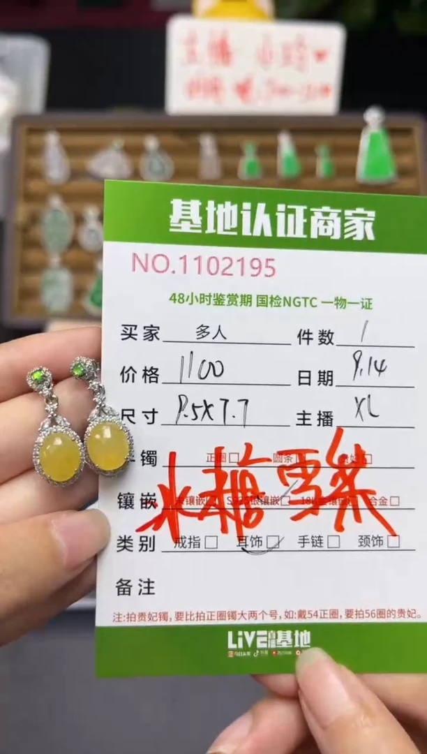 银S925镶嵌翡翠耳饰多人