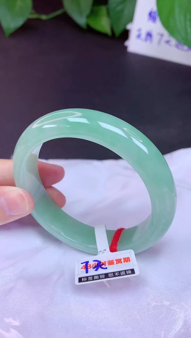 未镶嵌手镯翡翠56（7天无理由退换 ）