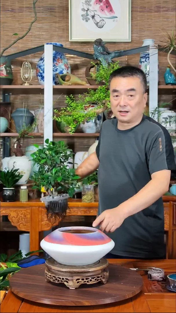 无花朵一****悠水之韵水培植物瓷器瓶带定植篮