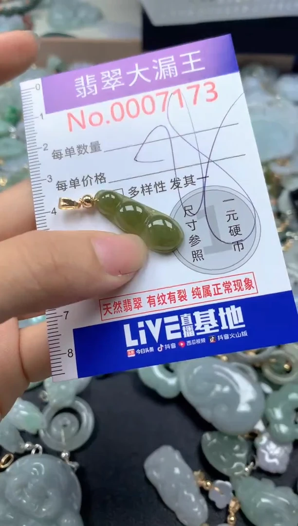 翡翠未镶嵌吊坠(不含链)7173