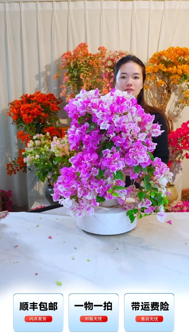 大部分开放少量花苞章红樱