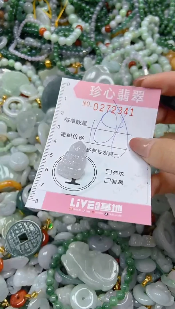 翡翠未镶嵌颈饰闪购0272341