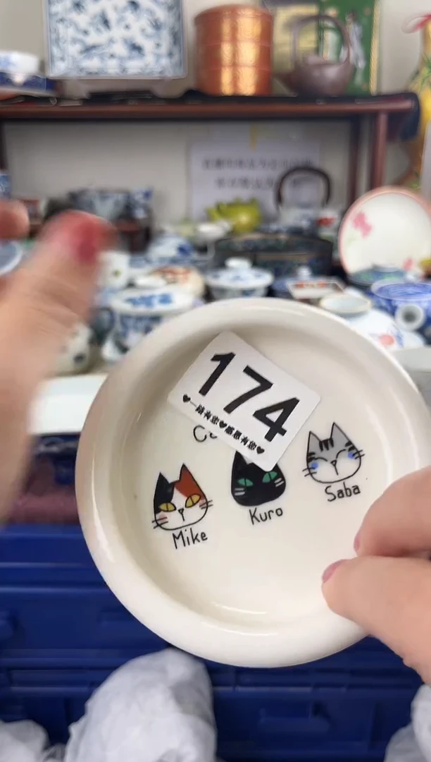 瓷片174...............