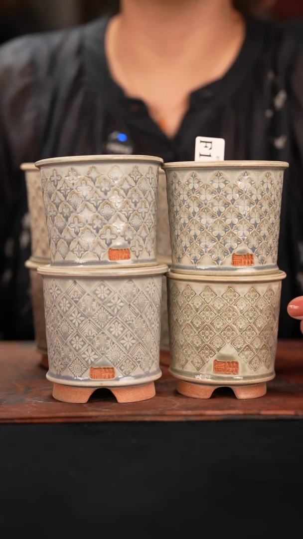 7-9-115花盆口径7混发1个