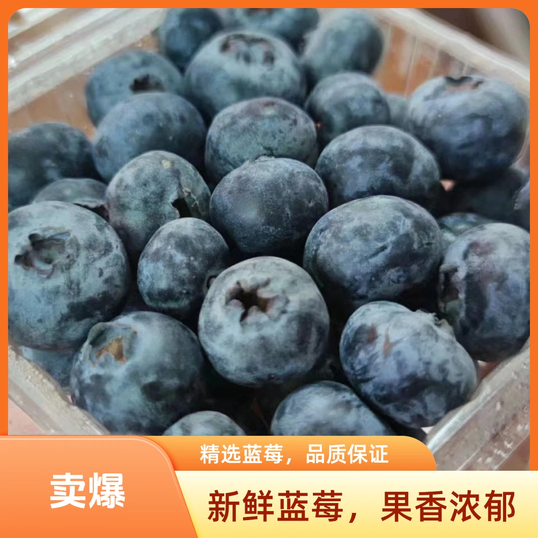 【2盒】云南花香蓝莓，规格18mm，125g一盒，云南花香蓝莓新品上市高山蓝莓当季新鲜水果脆甜可口