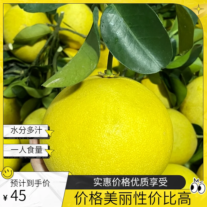 正宗玉环文旦一人食柚子小果水分多汁脆嫩化渣时令水果