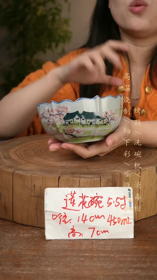 碗瓷景德镇手工手绘高温瓷釉下彩