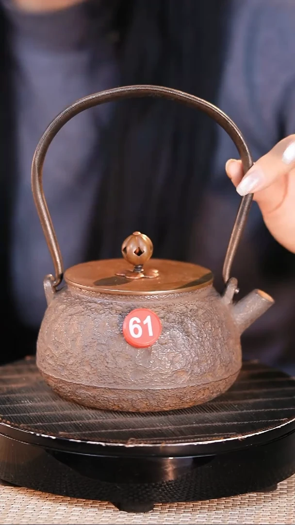 铁壶专属链接定向——————砂铁壶 - 450ml - 红61