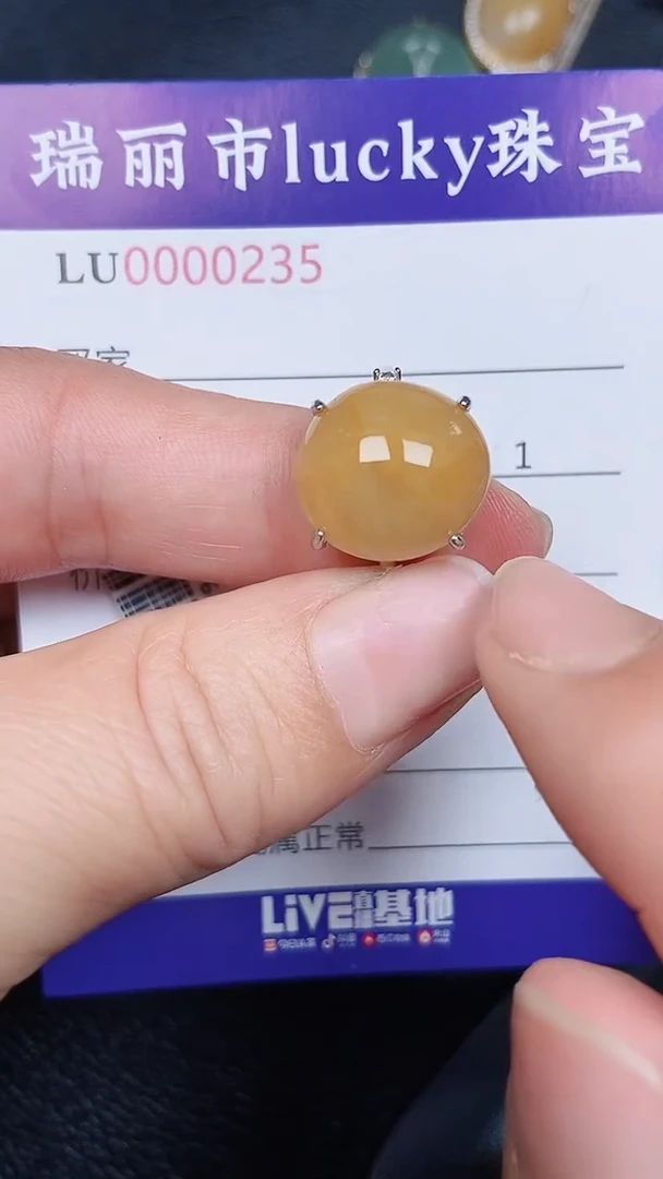 颈饰未镶嵌翡翠0235