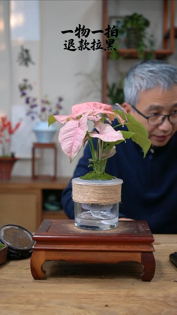 完全开放丁***开427红粉