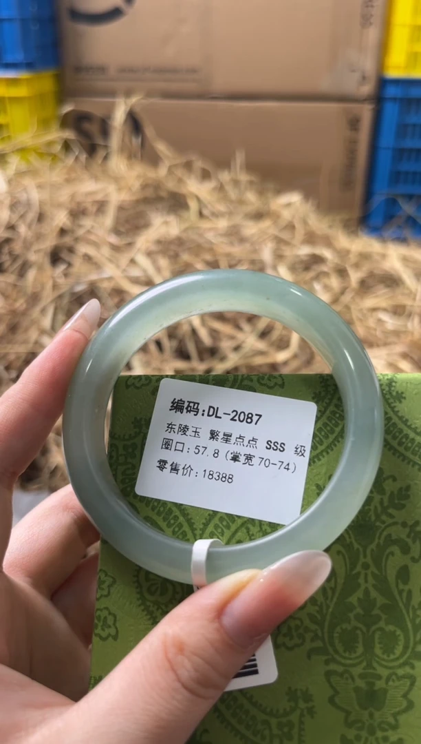 未镶嵌手镯石英质玉DL-2087