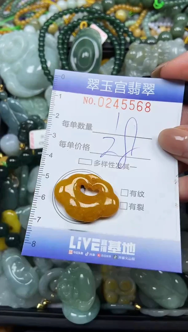 颈饰未镶嵌翡翠闪购C0245568