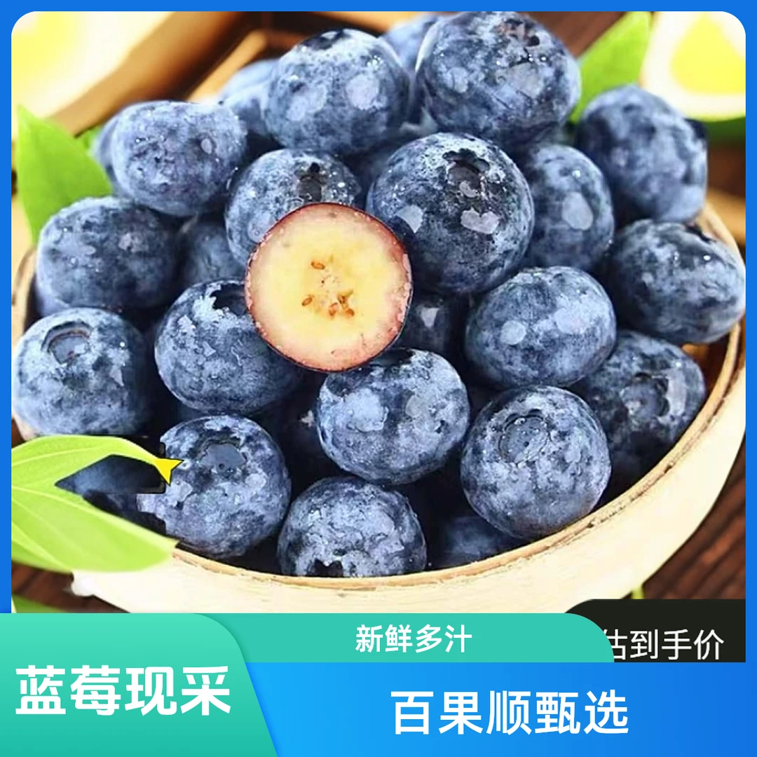 X3【大果18-15】苏北露天花香蓝莓口感脆甜当天采摘直发 净重3斤