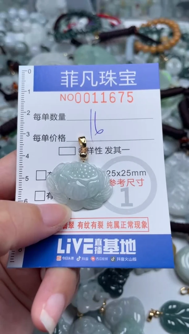 颈饰未镶嵌翡翠11675