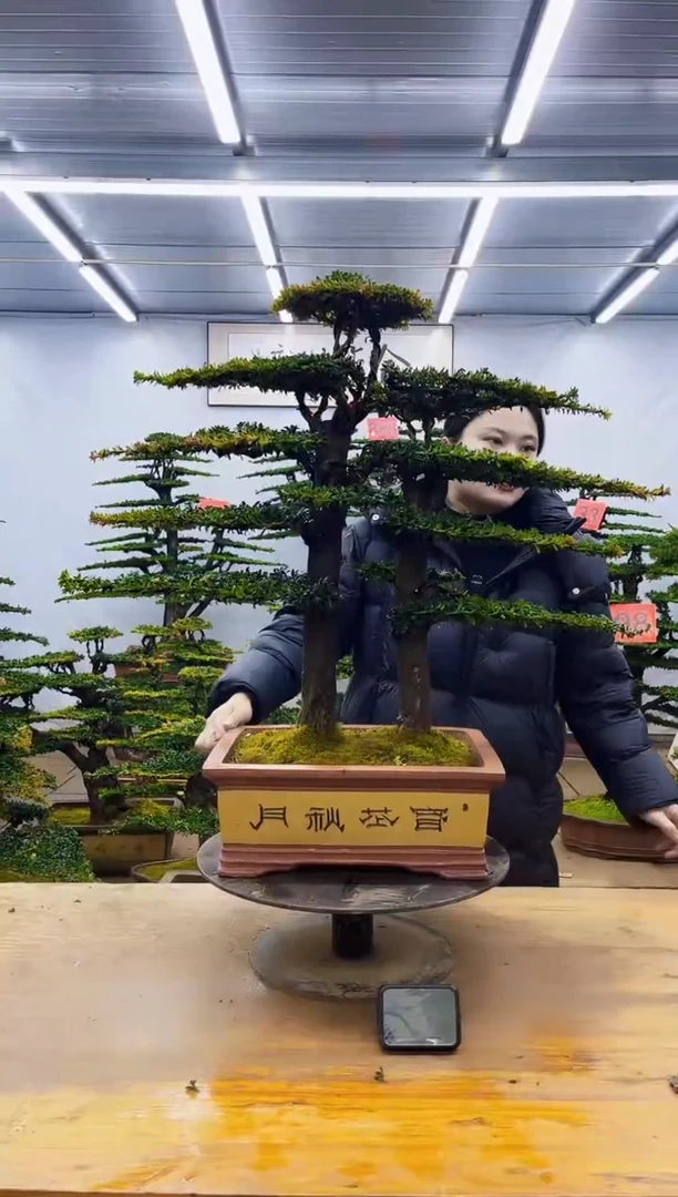 无花朵一物一拍·所见即所得