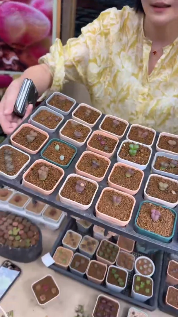 159美丽专属盒子1个