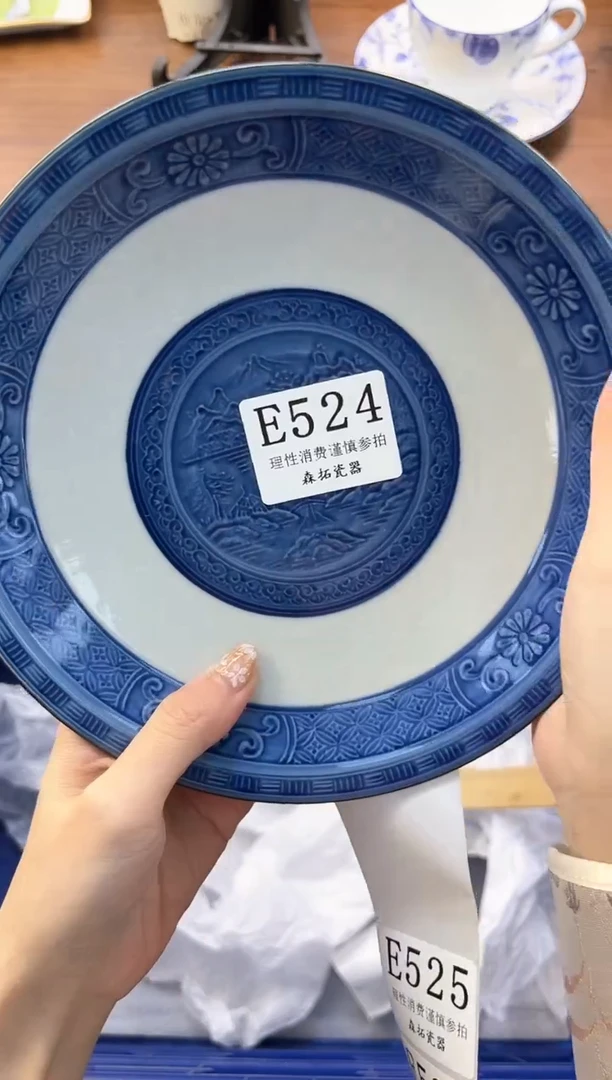 【闪购商品】瓷片----------E524