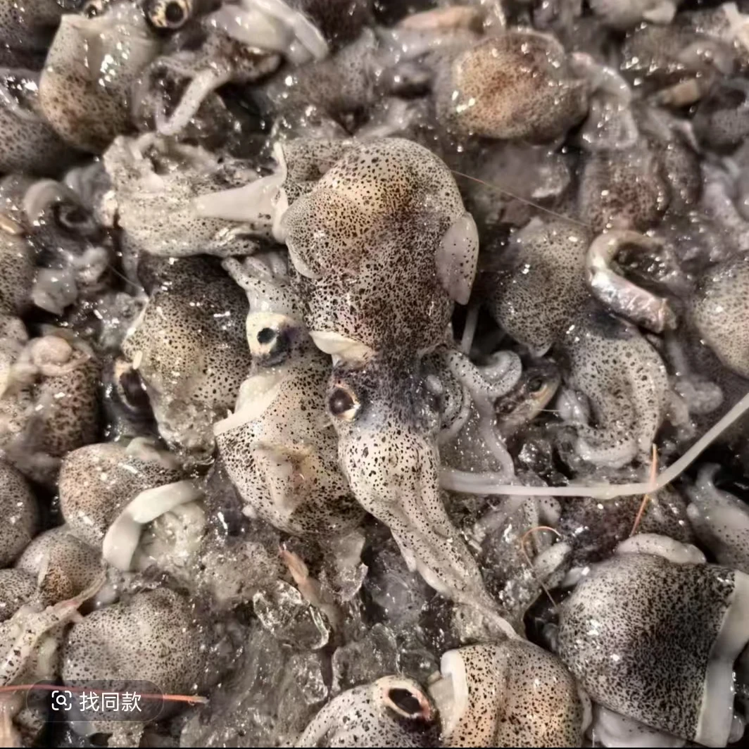 海捕野生墨斗鱼。白灼爆炒皆可。