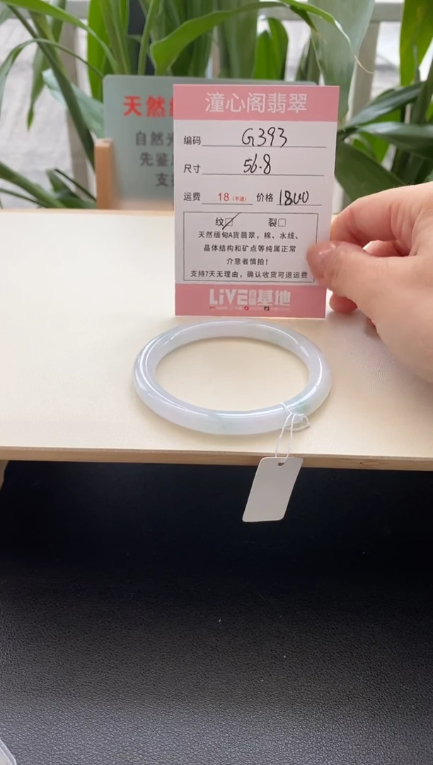 未镶嵌手镯翡翠56.8圈口编码g393